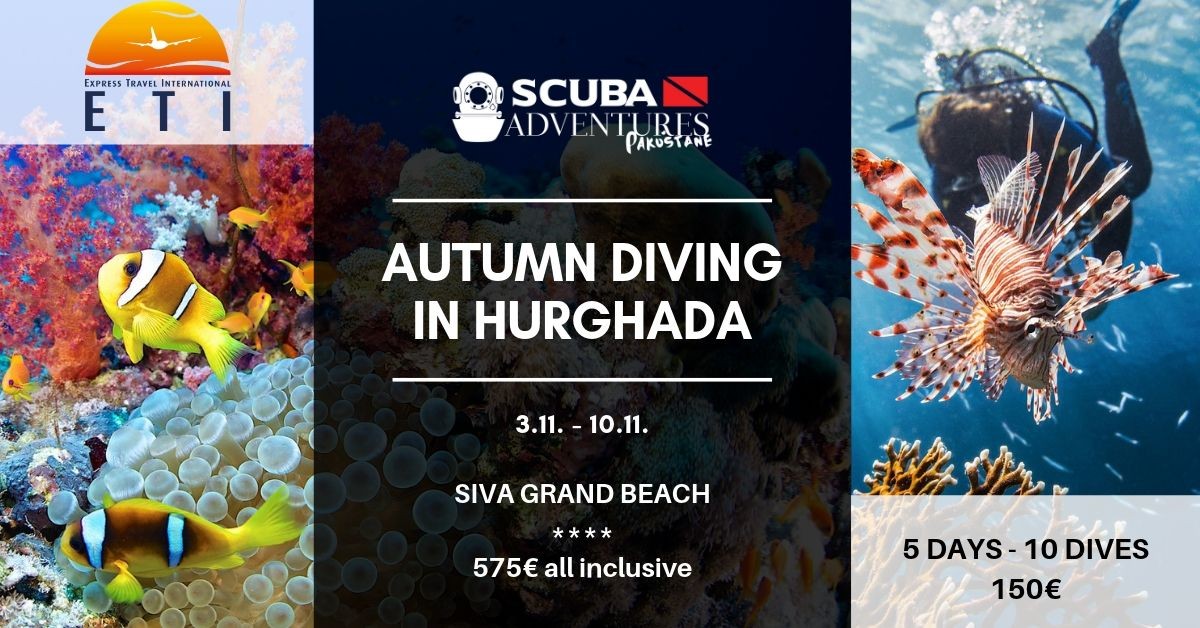 AUTUMN DIVING HOLIDAYS IN HURGHADA